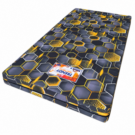 Trendy Double Layer Mattress